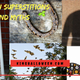 Illustration for article titled Superstitions and Halloween